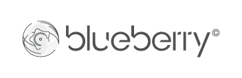 Blueberry ES